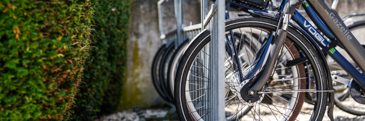 Hotel Restaurant Valuas - Bike rental